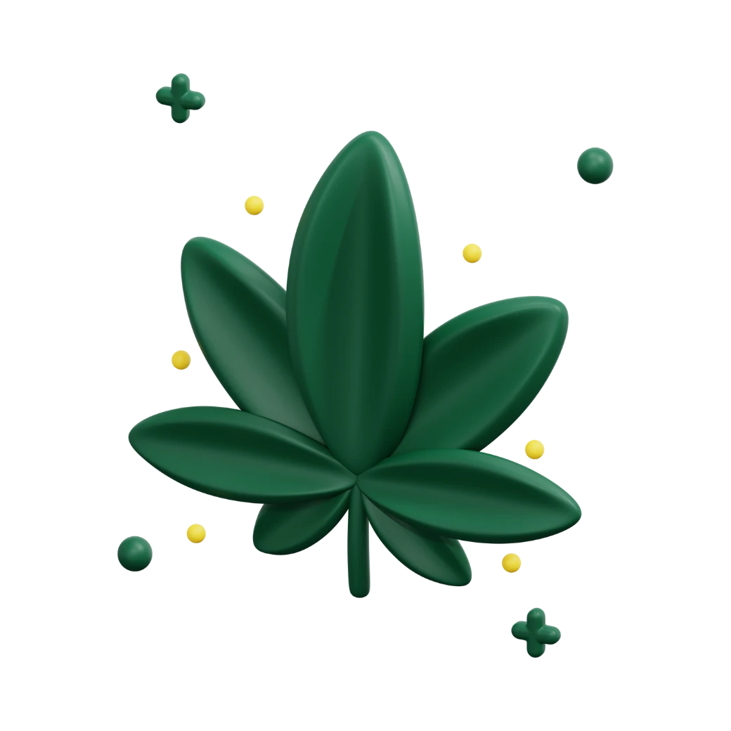 Lamai Store ดอกกัญชา